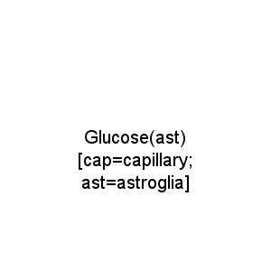 Glucose(ast) [cap=capillary; ast=astroglia]